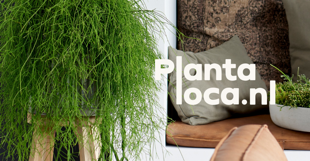 Planten webshop plantaloca