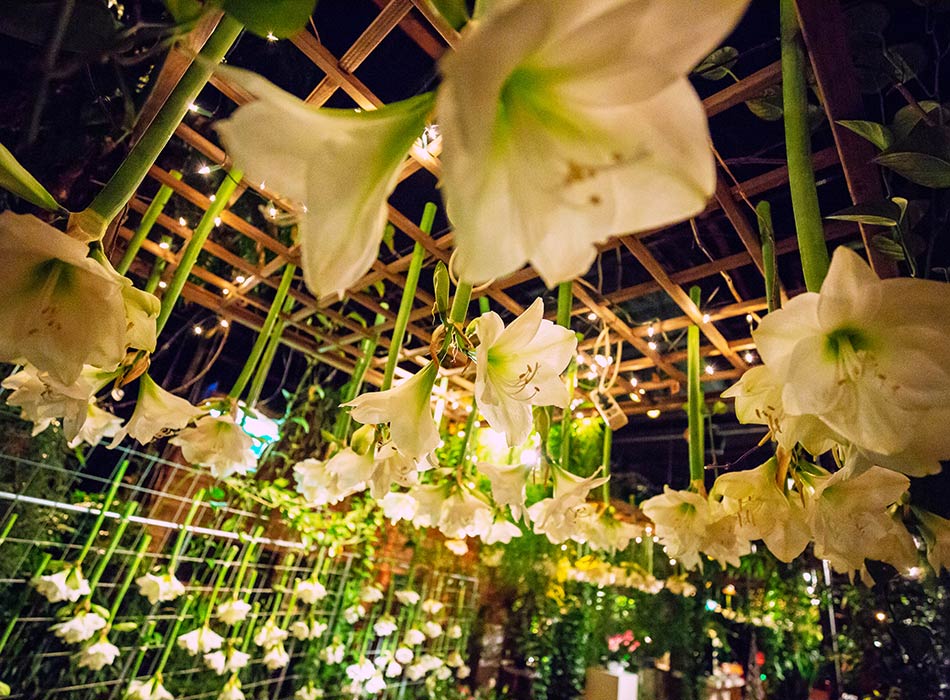 bedrijfsfeest locatie Amaryllis plafond verrassende evenementenlocatie Arendshoeve Amsterdam