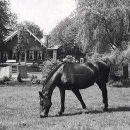 Locatie met een historie<br>